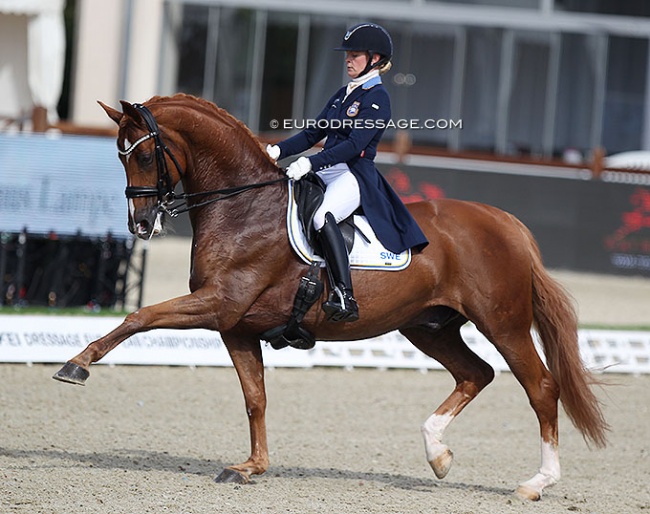 Jeanna Hogberg and Lorenzo at the 2021 European Championships :: Photo © Astrid Appels