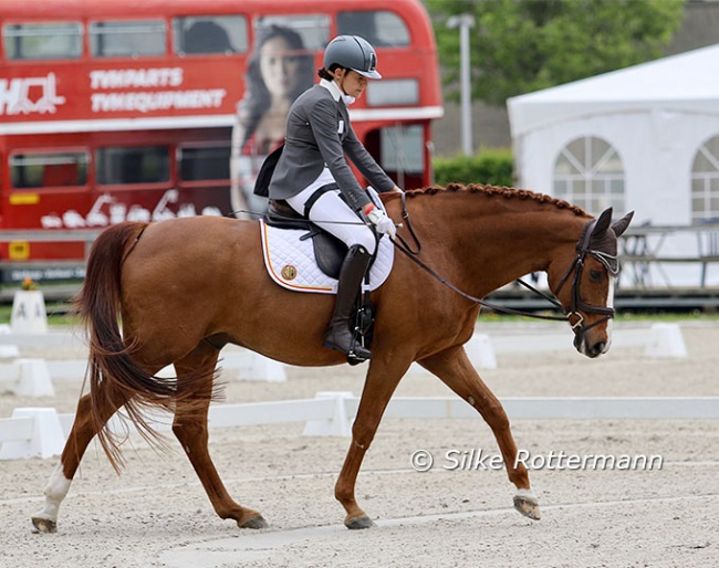 Barbara Minneci on Stuart at the 2022 CPEDI Waregem :: Photo © Silke Rottermann