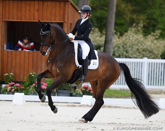 Luca Collin on Ferrero at the 2023 CDIO Compiègne :: Photo © Astrid Appels