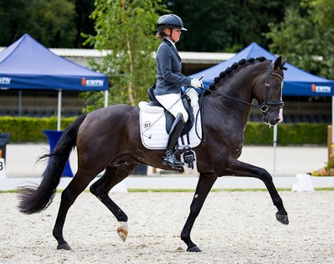Renate van Uytert-van Vliet on Extreme U.S. in the 2023 Pavo Cup semi-finals :: Photo © Jacob Melissen for KWPN
