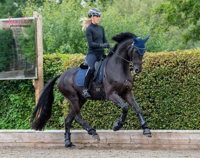 Charlotte Dujardin and Secret Agent :: Photo © Jess Photography