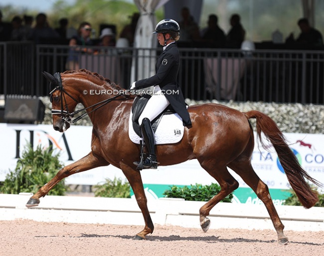 Morgan Barbançon and Deodoro win the 2023 CDI Wellington:: Photo © Astrid Appels