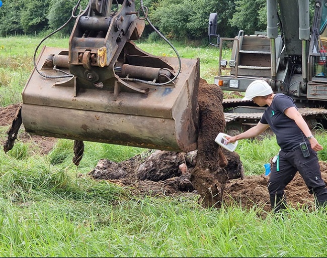 So far the cadavers of twenty horses have been dug up at Viegaard stutteri in Skals, Denmark :: Photo © Dorthe Brauner Jensen