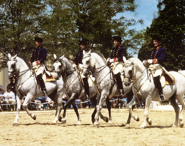 The Quadrille at Tempel Farm Lipizzans: George Williams, Mike Gehrls, Leslie Weiss and Alf Athenstadt :: Photo courtesy Tempel Farms