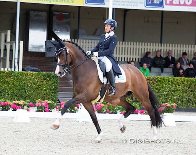 Wernsen and Estupendo at the Dutch WCYH selection trial for 7-year olds in Ermelo in 2016 :: Photo © Digishots
