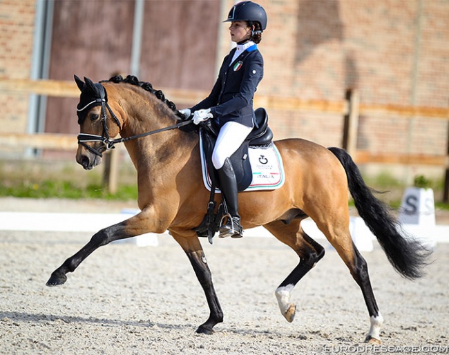 Virginia Sponle and Coer Noble at the 2021 CDI Grote Brogel :: Photo © Astrid Appels
