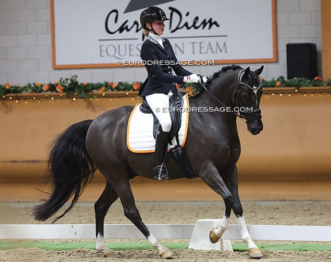 Dominique van Dalsen and Zky at the 2022 CDI Kronenberg :: Photo © Astrid Appels - NO REPRODUCTION ALLOWED