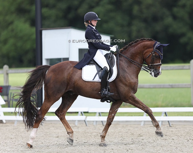 Sofie Soderback and Don Royal at the 2022 CDI Meerle :: Photo © Astrid Appels - No reproduction allowed