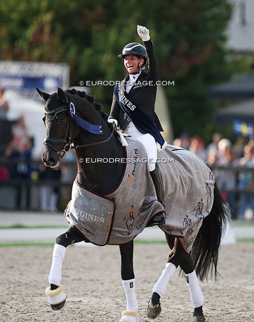 Global Player OLD, winner of the 6-year old division at the 2022 World Young Horse Championships under Eva Möller :: Photo © Astrid Appels