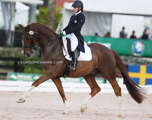 Codi Harrison and Katholt's Bossco at the CDI Wellington :: Photo © Astrid Appels