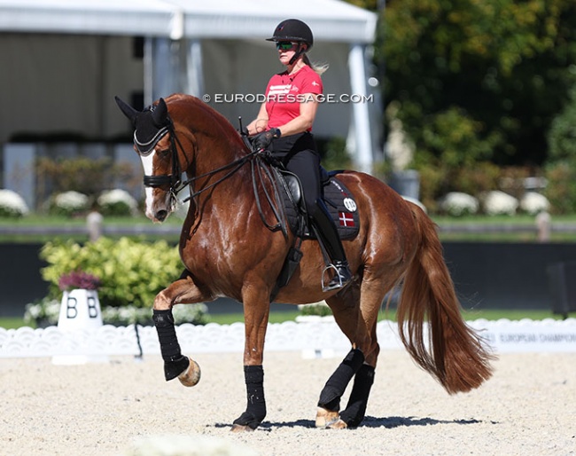 Nanna Skodborg Merrald and Blue Hors Zepter in training at the 2023 European Dressage Championships :: Photo © Astrid Appels