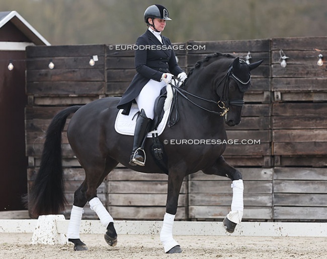 Andrea Timpe and Don Carismo at the 2023 CDI Sint-Truiden :: Photos © Astrid Appels
