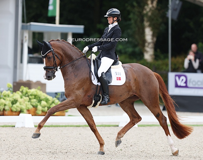 Betina Jaeger and Quinn G win the 2023 World Young Horse Championships for 5-year olds :: Photo © Astrid Appels