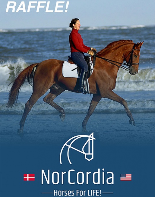 NorCordia Dressage at Devon 2023 Master Class RAFFLE