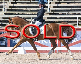 Sold in one month time