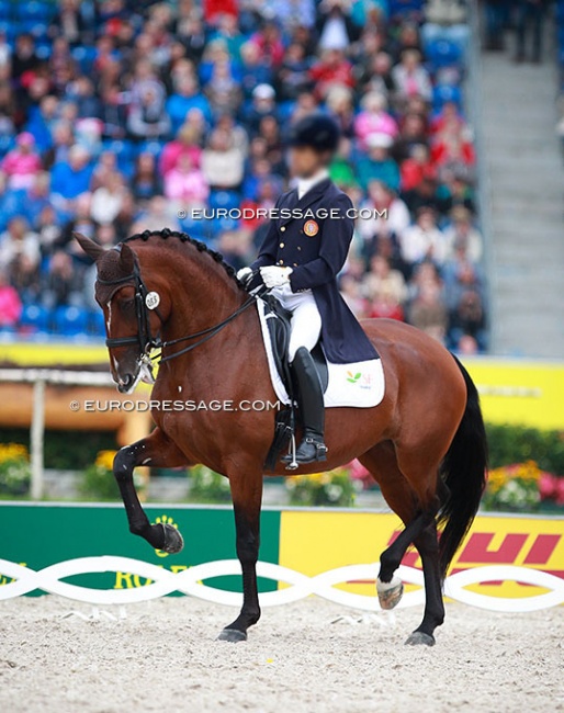 Batuta at the 2015 European Dressage Championships in Aachen :: Photo © Astrid Appels