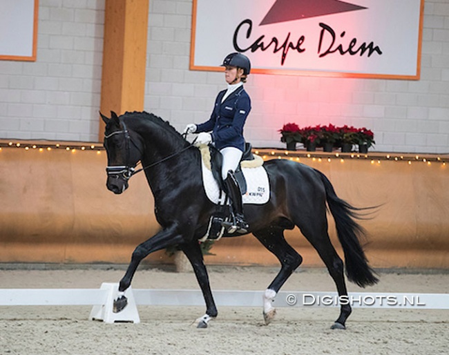 Adelinde Cornelissen and Grappa at the 2016 KWPN Stallion Competition qualifier in Kronenberg :: Photo © Digishots