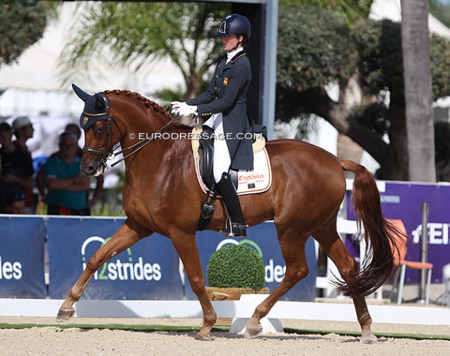 Julia Alvarez Abad and Du Pre at the 2021 European Young Riders Championships in Oliva Nova :: Photo © Astrid Appels