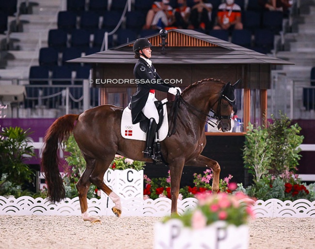 Galleria's Bohemian at the 2021 Tokyo Olympics where he finished fourth :: Photo © Astrid Appels