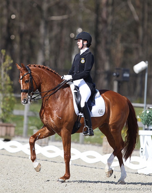 Nathalie Wahlund on Cerano Gold at the 2021 CDI Opglabbeek :: Photo © Astrid Appels