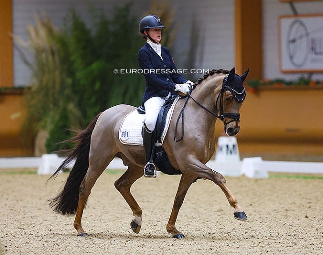 Maria-Teresa Pohl and Der Kleine Sunnyboy at the 2022 CDI Kronenberg Indoor :: Photo © Astrid Appels