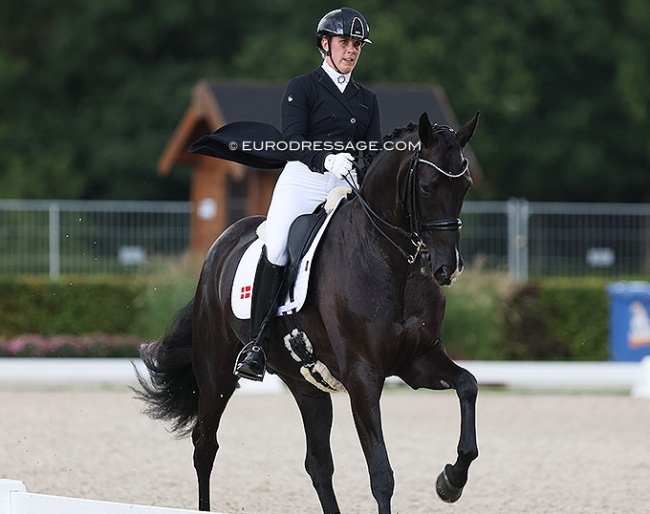 Anne Marie Hosbond and EVO Schubidoo at the 2022 World Young Horse Championships :: Photo © Astrid Appels