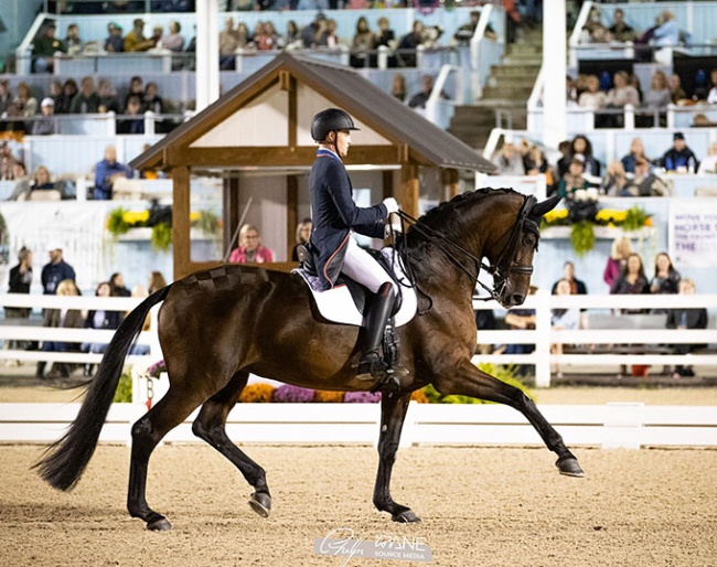 Ben Ebeling and Indeed at 2023 Dressage at Devon CDI-W :: Photo © Phelps Media Group
