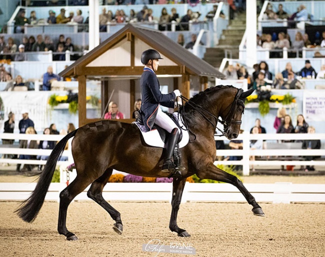 Ben Ebeling and Indeed at 2023 Dressage at Devon CDI-W :: Photo © Phelps Media Group