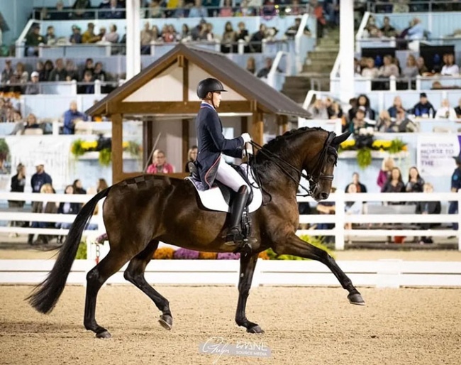 Ben Ebeling competing at 2023 Dressage at Devon :: Photo © Phelps Media Group