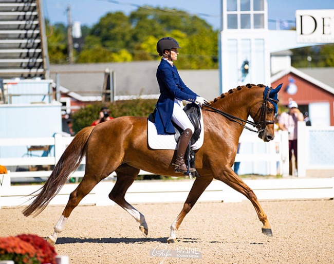Christina Morin-Graham and Ici De La Vigne at 2023 Dressage at Devon :: Photo by Olivia Airhart/PMG