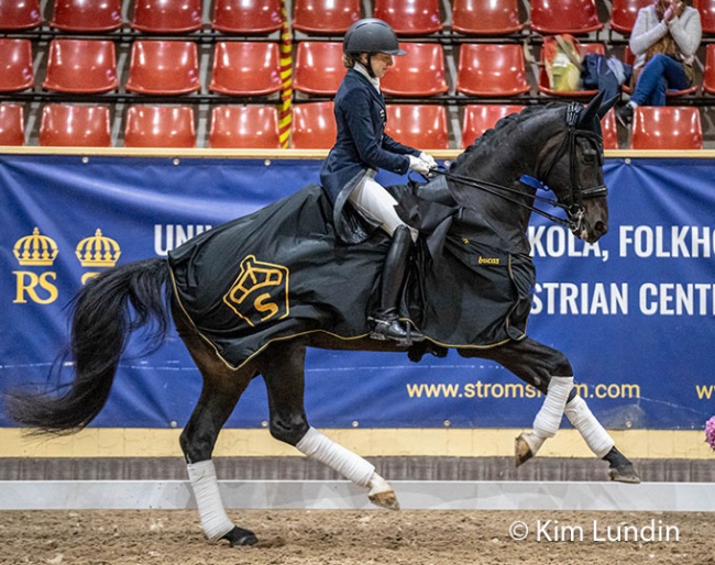 Third title in a row for Vendela Eriksdotter Rubin and Diploid (by Hesselhoj Donkey Boy x Topaasch) at the Swedish Warmblood Young Horse Championships :: Photo © Kim Lundin