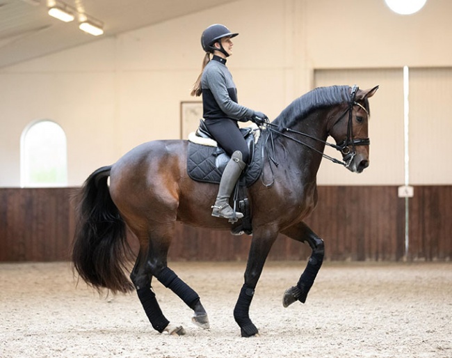 Cathrine Laudrup-Dufour and Mount St. John Freestyle :: Photo © Photography by Hall