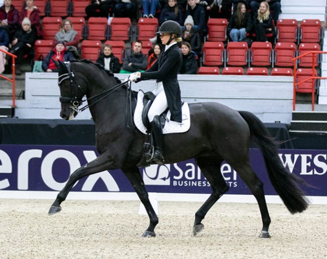 Anna Tallberg and Grevens Zorro at the 2023 CDI Helsinki :: Photo © Iita-Maria Ahtiainen