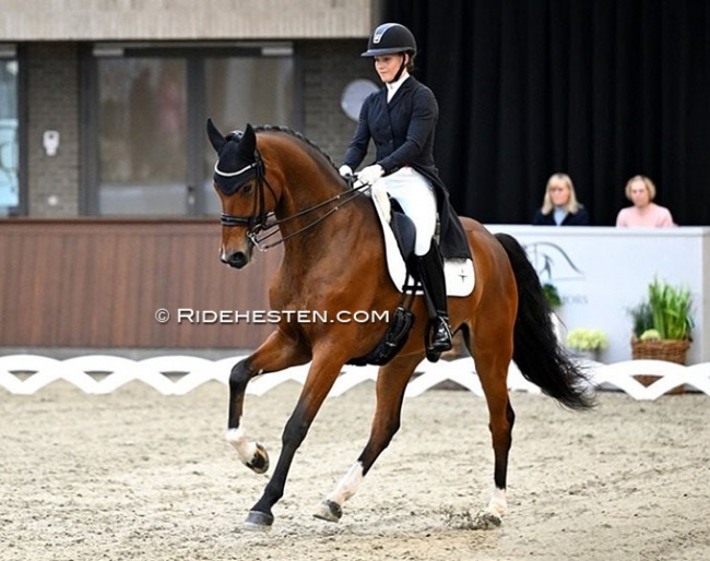 Cathrine Dufour and Hesselhoj Darwin at the 2023 Danish Young Horse Championships :: Photo © Ridehesten
