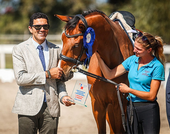Portuguese judge Miguel Gonçalves with horse Ba'al in the prize giving ceremony for the 5-year olds at the 2023 Croatian Young Horse Championhips :: Photos © Lidija Novković