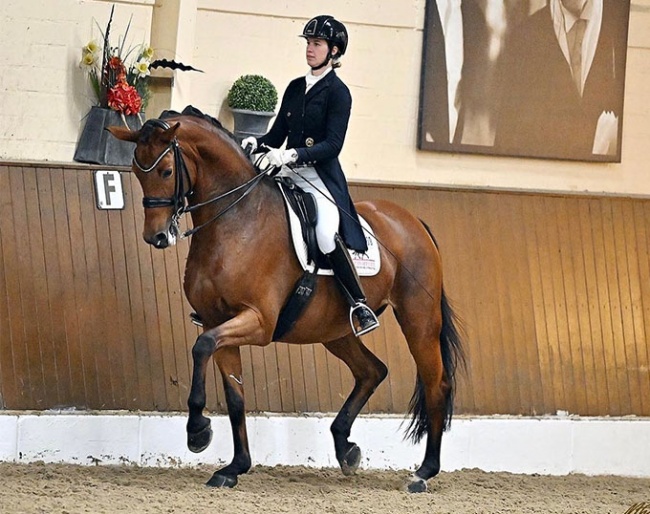 DSP Cosmopolitan competing in the Grand Prix at the 2023 CDN Ankum :: Photo © Mhisen