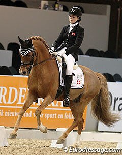 Maria Fauerholm Christensen at the CDI debut of Vegelin's Goya at the 2012 CDI Drachten :: Photo © Astrid Appels