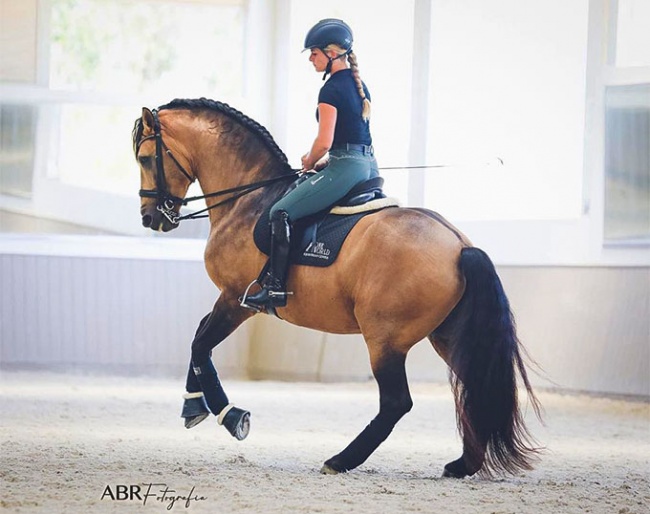 Nadja Maria Bieler and her Lusitano stallion Vitorino, aged 18, just a few months before they had their debut in Grand Prix :: Photo © ABR Fotografia