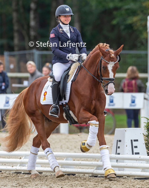Michele Schulmerig and Der Kleine Champion at the 2020 Bundeschampionate :: Photo © Stefan Lafrentz