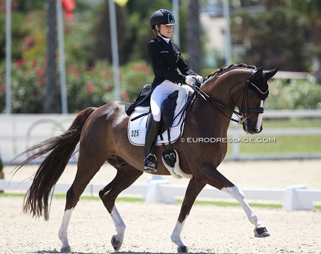 Anna Middelberg on Blickfang HC at the 2021 European Young Riders Championships :: Photo © Astrid Appels
