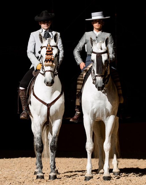SICAB - the greatest Purebred Spanish Horse showcase in the world - on 28 November - 3 December 2023