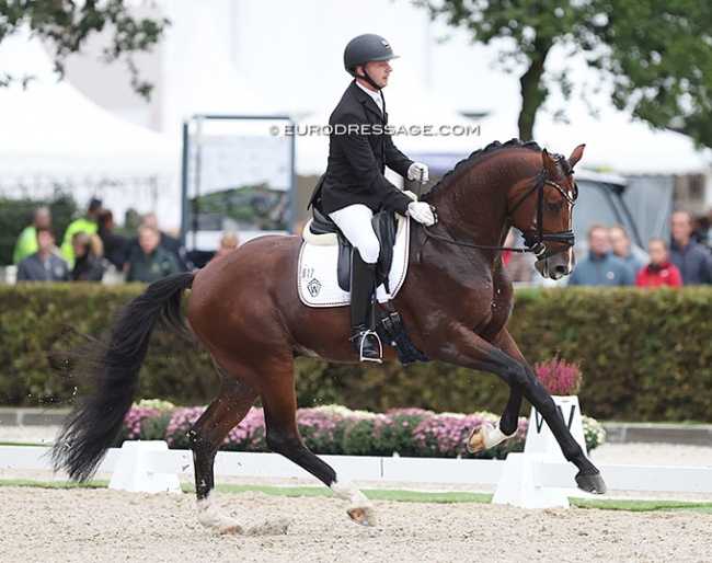 Eike Bewerungen and Bon Vivaldi at the 2022 World Young Horse Championships in Ermelo :: Photo © Astrid Appels