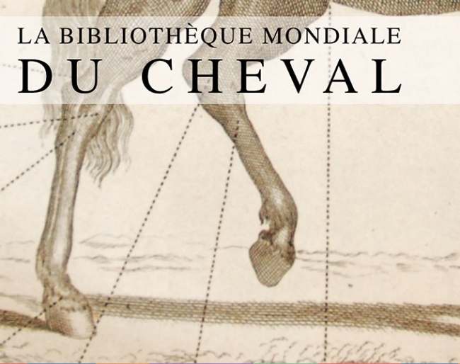 La Bibliothèque Mondiale du Cheval 