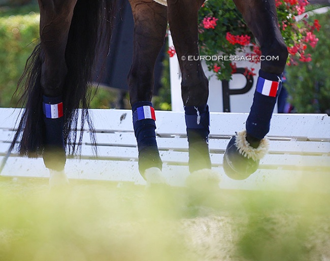 The French flag on polo wraps :: Photo © Astrid Appels