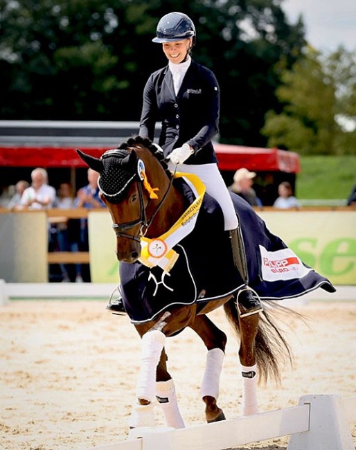 Sina Aringer and Barbor BS at the 2023 Hanoverian Young Horse Championships in Verden :: Photo © Hannoveraner Verband