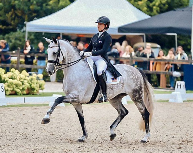 NorCordia's Vianne at the 2023 World Championships for young dressage horses in Ermelo. She is for sale at Cathrine Dufour's yard in Denmark