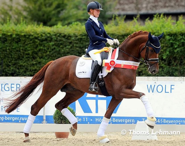 Jessica Lynn Thomas and Fonq at the 2019 Westfalian Young Horse Championships :: Photo © Thoms Lehmann