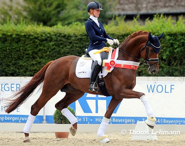 Jessica Lynn Thomas and Fonq at the 2019 Westfalian Young Horse Championships :: Photo © Thoms Lehmann