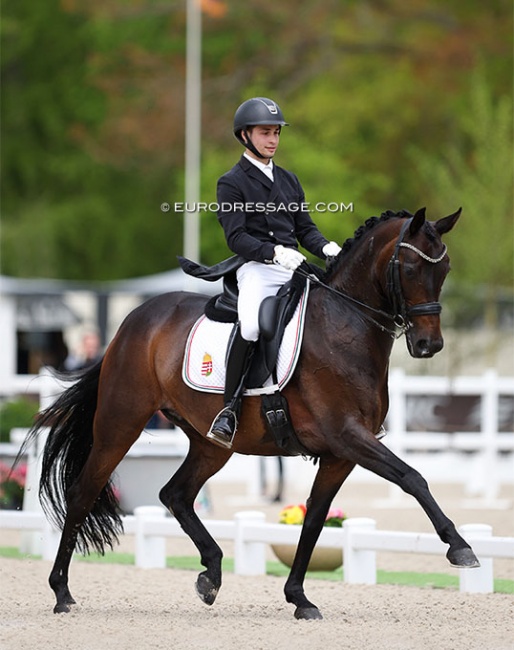 Benedek Pachl and Donna Friderika at the 2023 CDIO Compiegne :: Photo © Astrid Appels