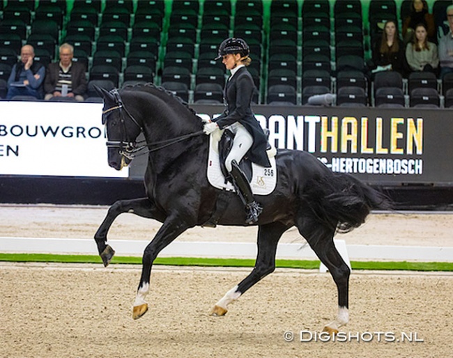 Marieke van der Putten and Jameson at the stallion's international small tour debut at the CDI-W 's Hertogenbosch in March 2023 :: Photo © Digishots